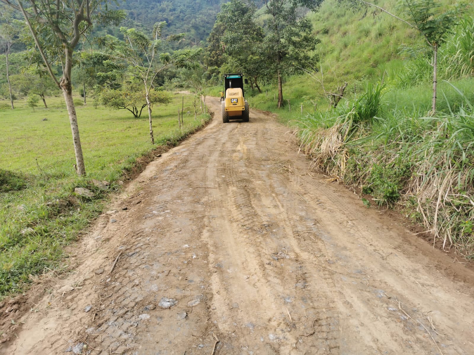 0e2a26a6 c5fa 0482 5257 0b1364baacea