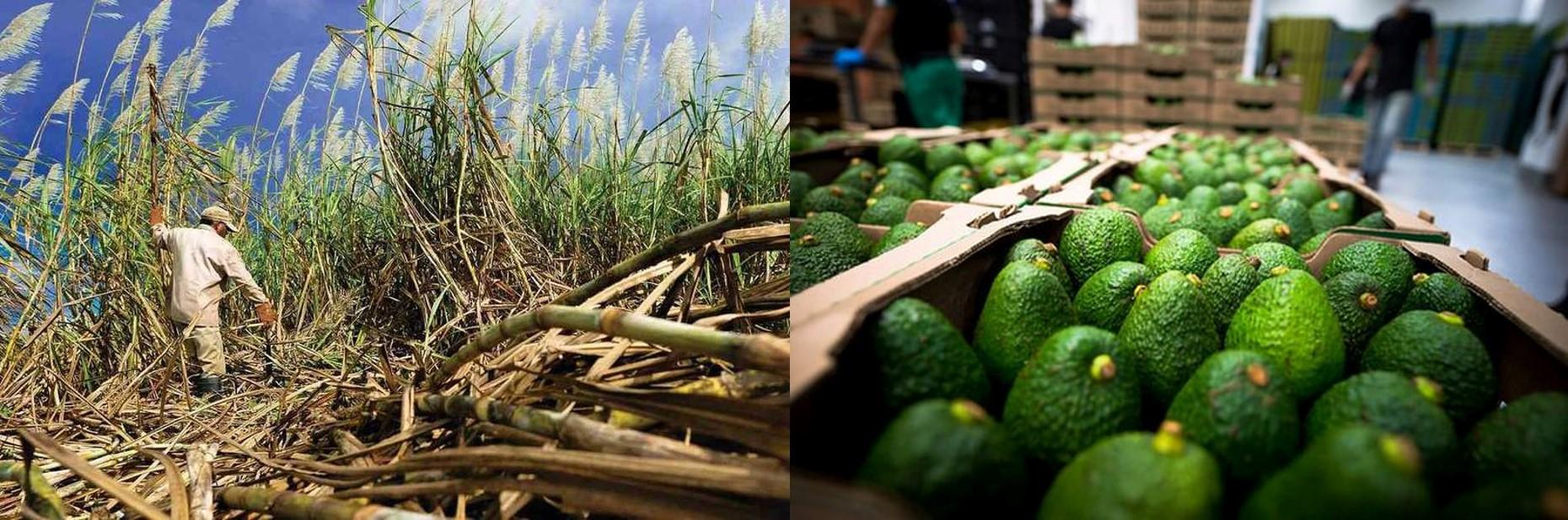 1da1a5d6 028a 2d56 09ea 103ee0864041