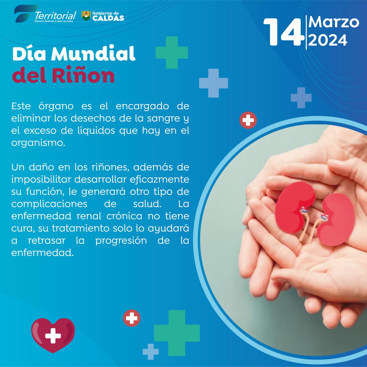 IMAGEN DIA MUNDIAL DEL RINON