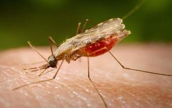 WhatsApp Image 2025 01 15 at 2.31.41 PM