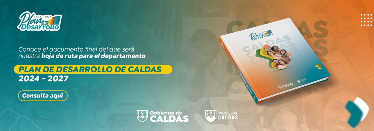 banner proyecto PDD
