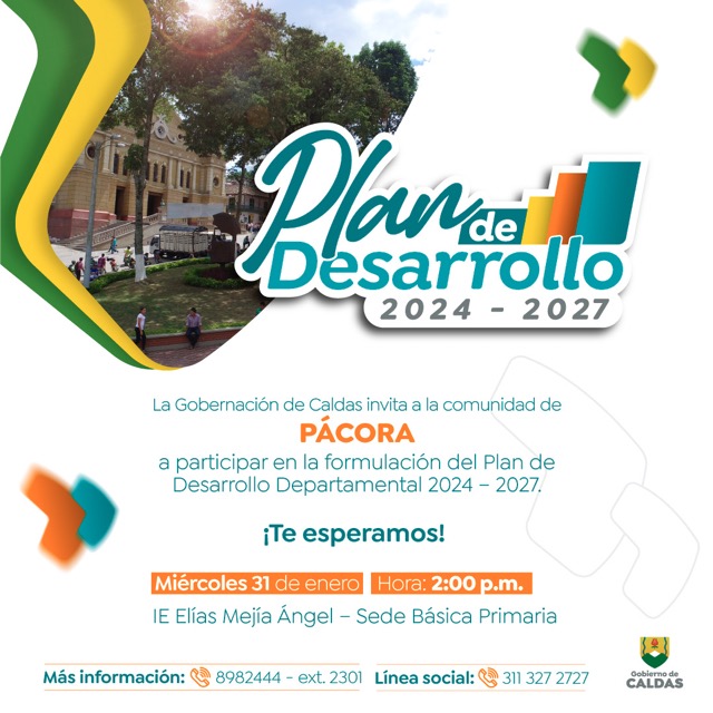 P PACORA de tamaño mediano