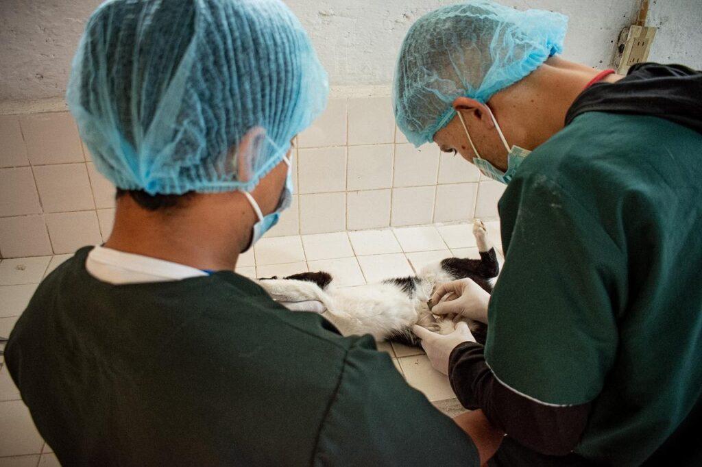 image 123650291 1024x682