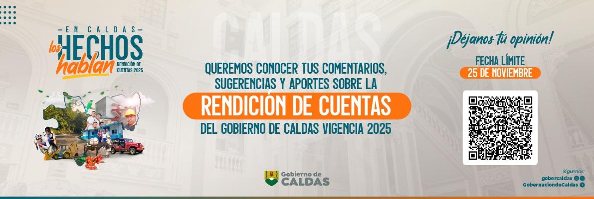 rendicon de cuentas opinion2025