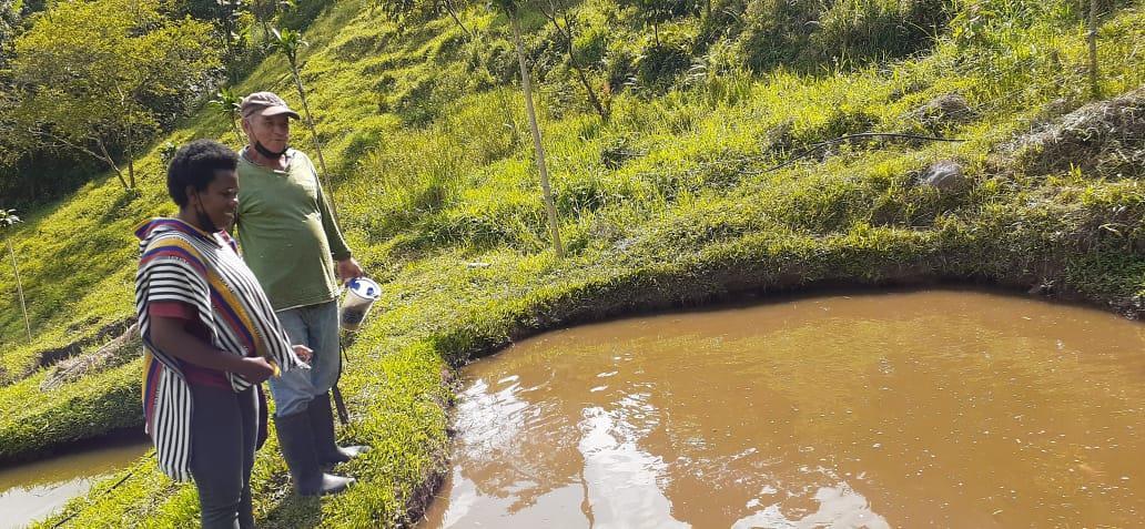 228f0de2 678a f915 4f12 defe243df7a0