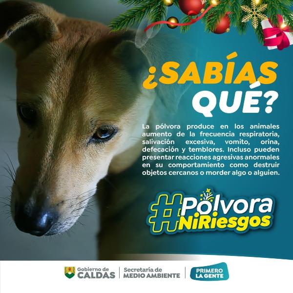 32989eab 569c ee00 8a64 5f7469e677f3 1