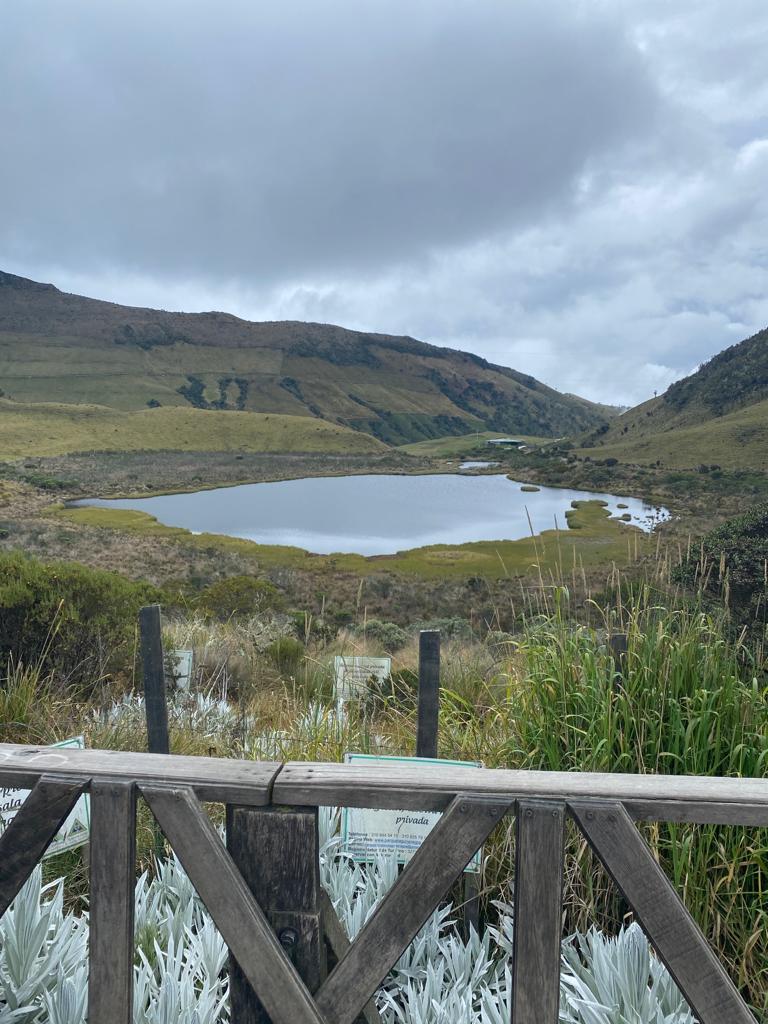 390e4b1d b984 1777 7bd3 2e5e00a33090