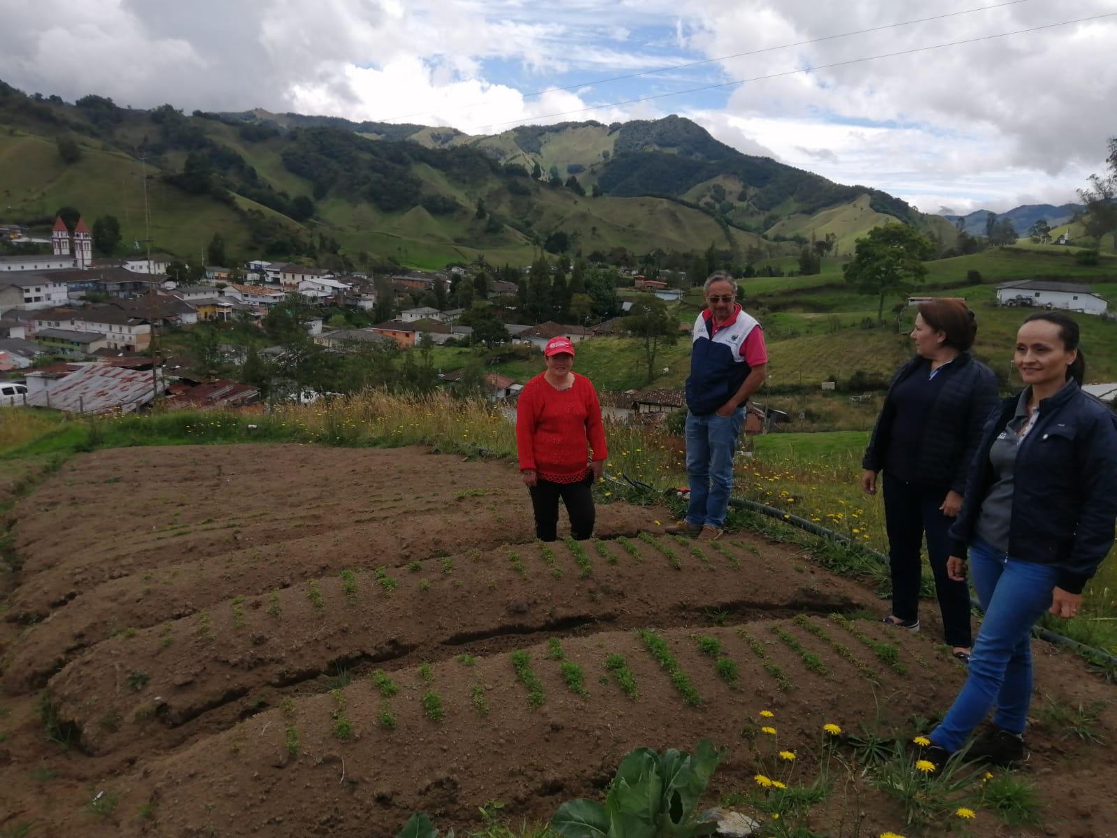 408bdc79 686c 7044 171b 76a026755fb1