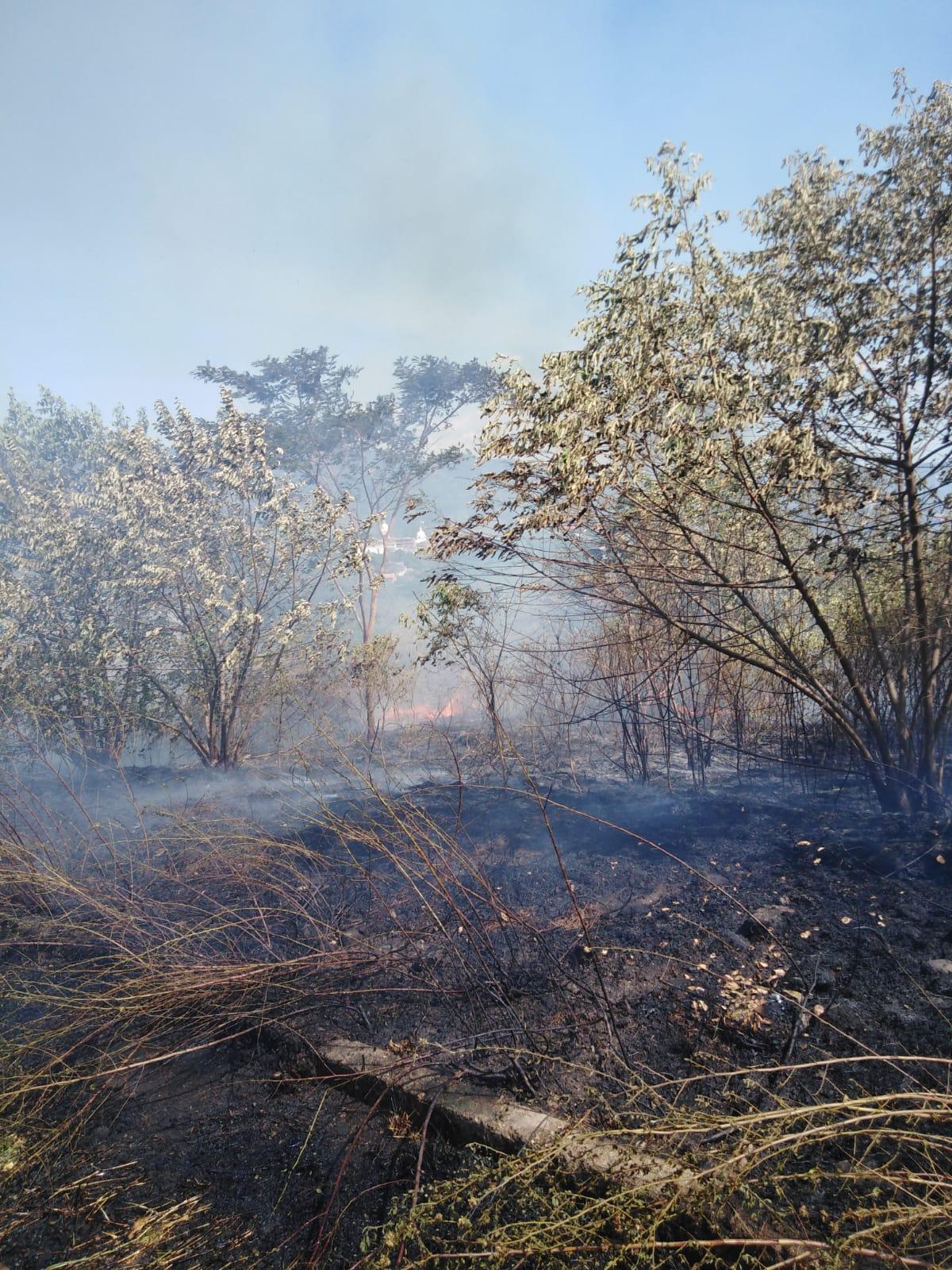 5307788d fcbc fdd0 dd10 2b628eef75e5