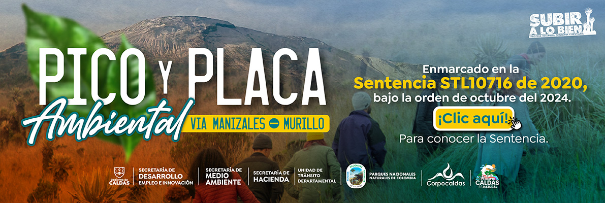 pico y placa ambiental