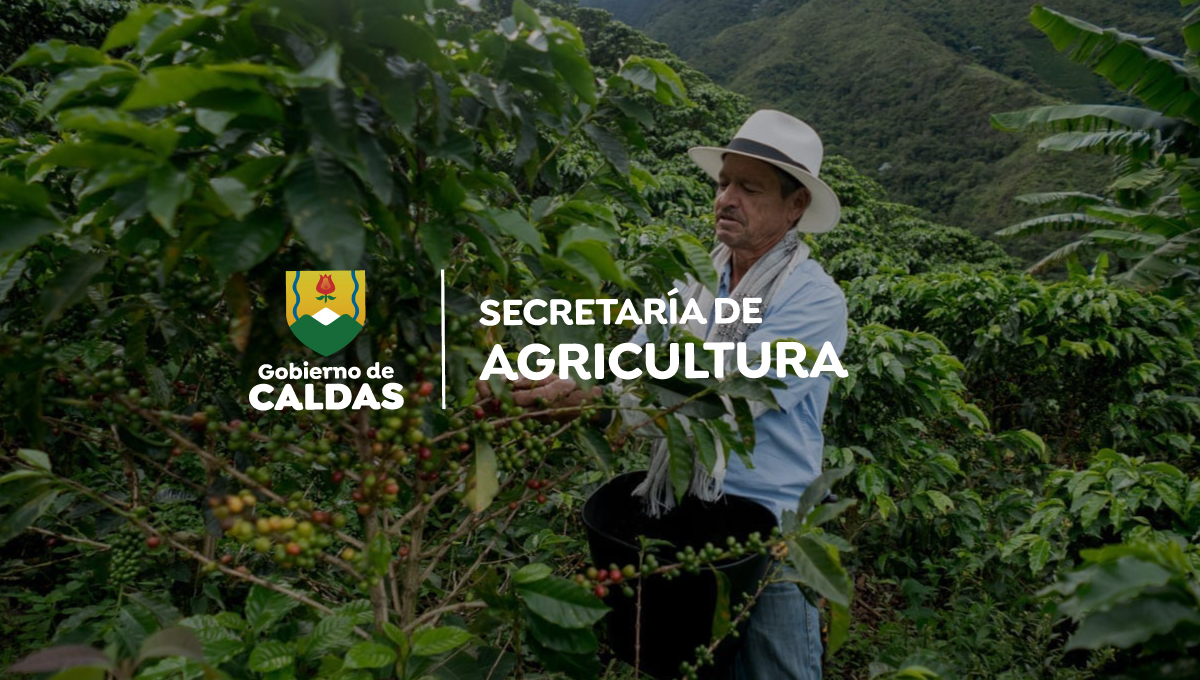 Secretaria Agricultura