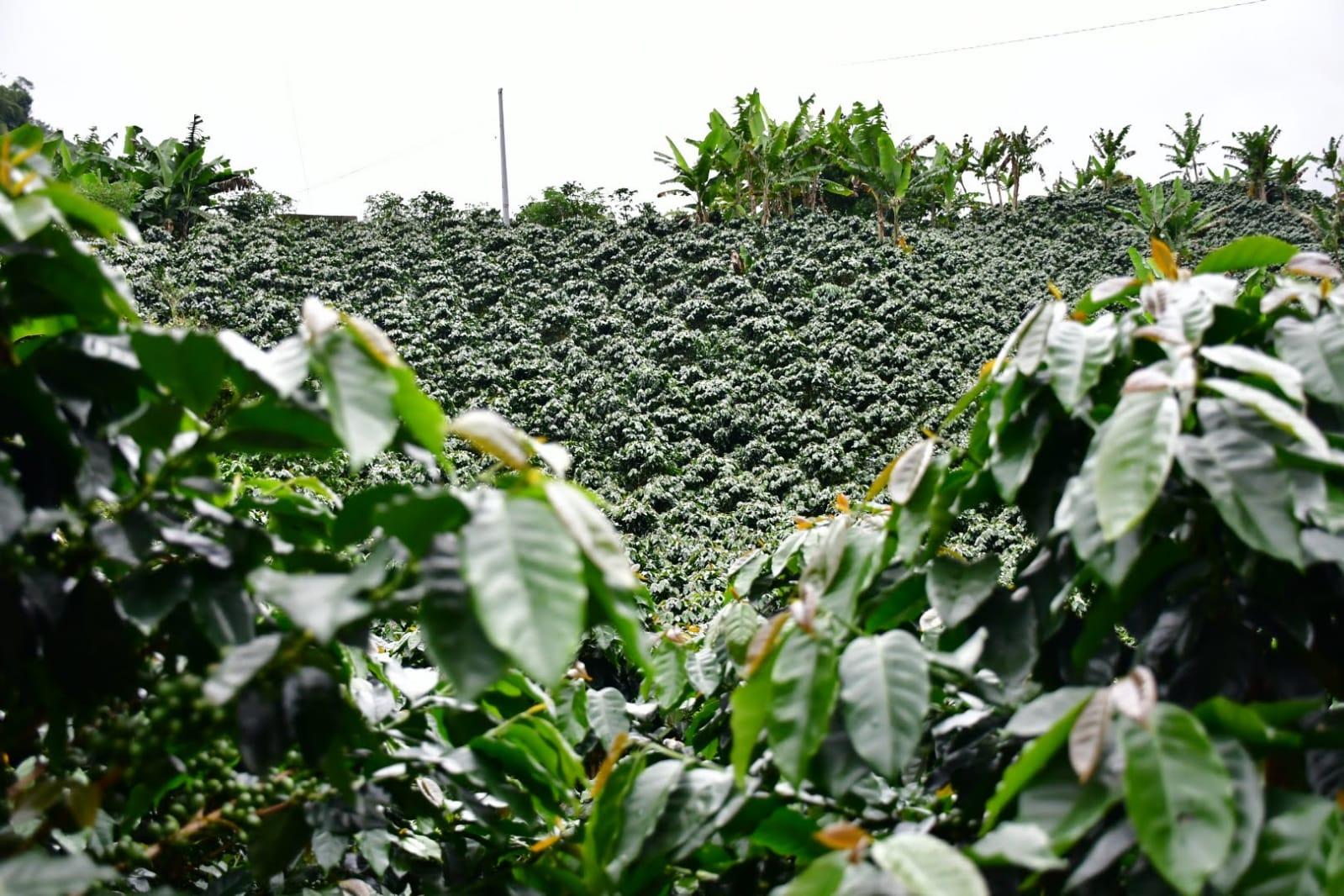 WhatsApp Image 2025 03 12 at 6.39.58 PM