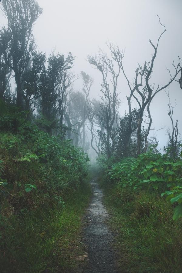 WhatsApp Image 2023 03 26 at 9.58.57 AM