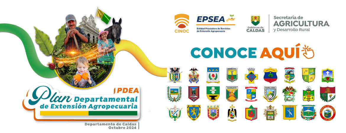 Benner PDEA