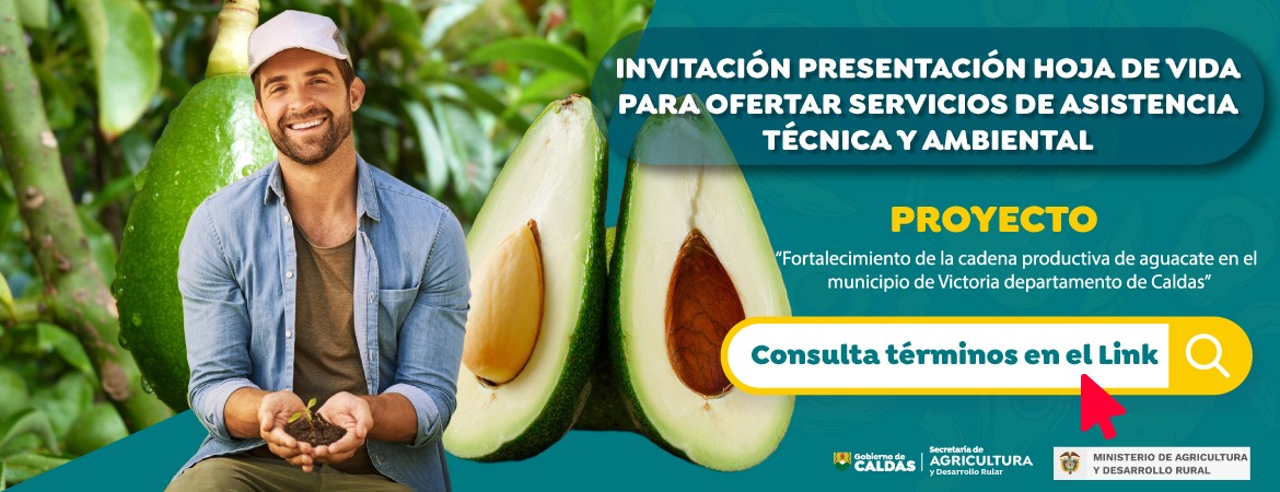 Invitación presentación