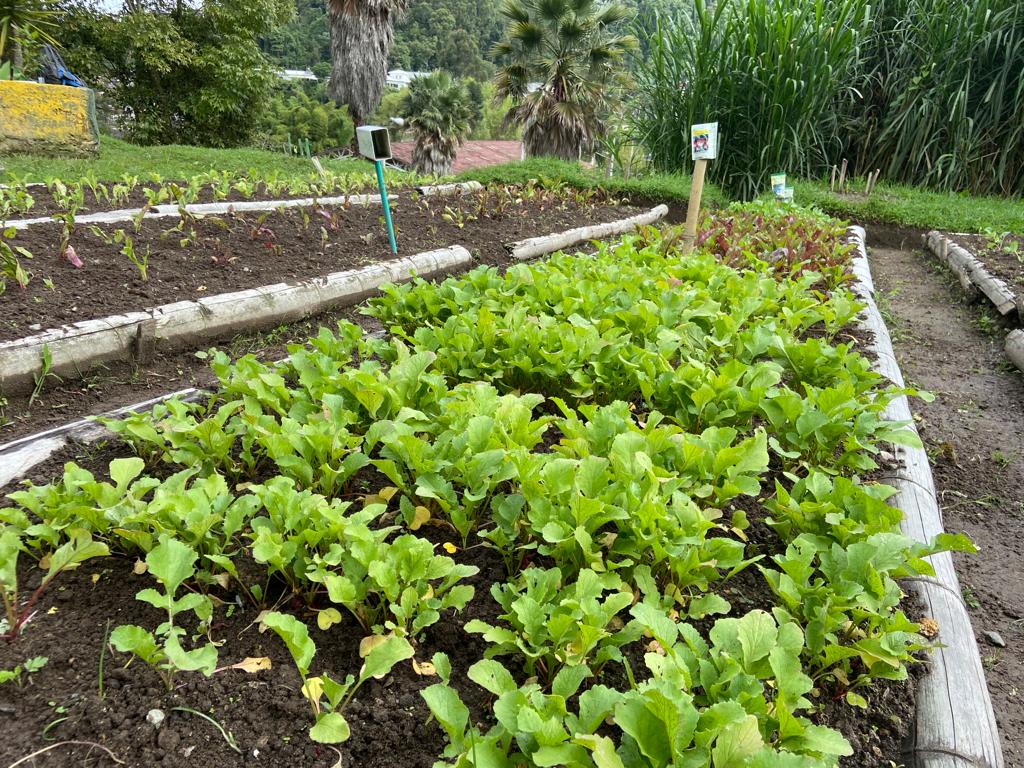 bc3656dd 394a dec7 5bbc a7d059a0ebda