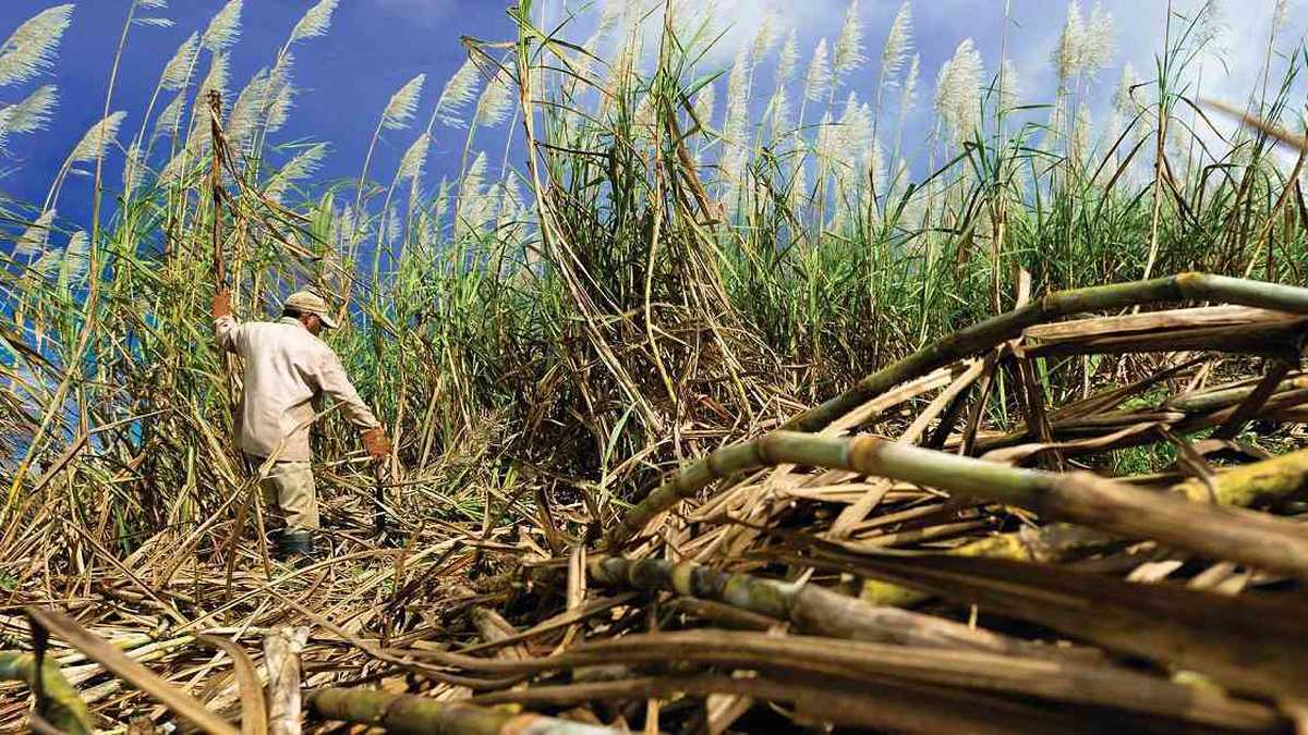 bc748127 bfbc 6920 f67e a212e8805bca