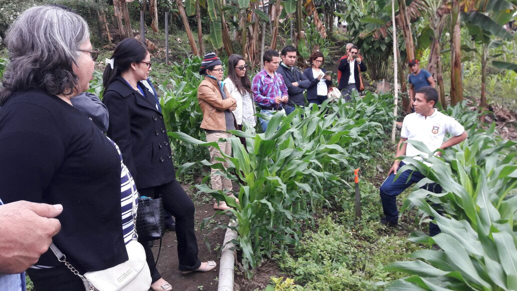 Educación Rural