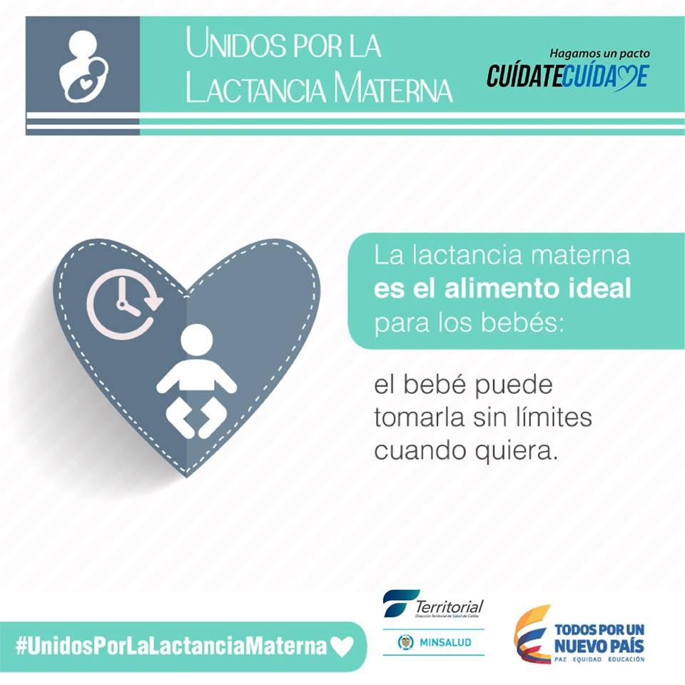 lactancia
