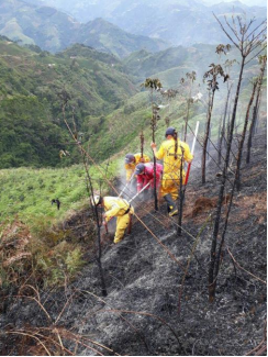 incendios