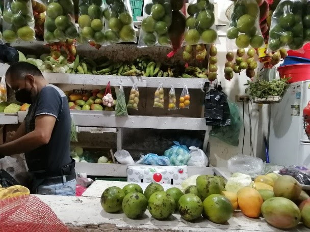 BOLETÍN