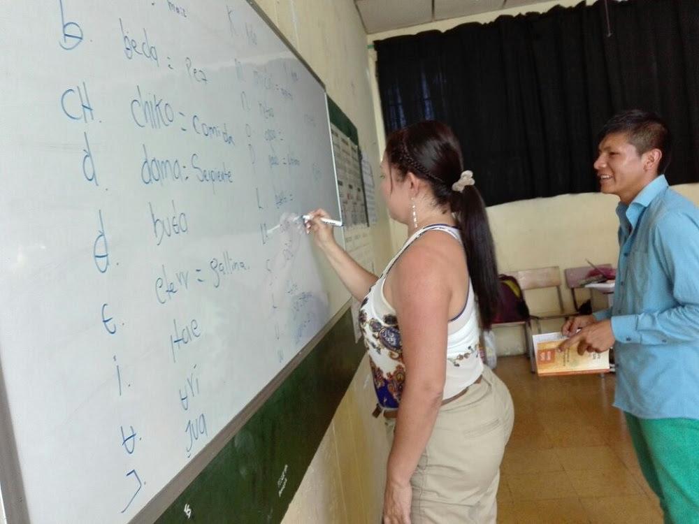 docentes