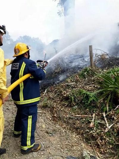Incendios opt