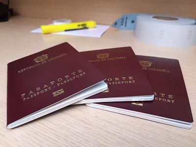 documento opt