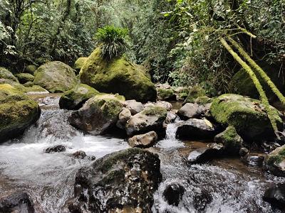 Agua Potable opt