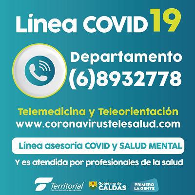 consultas opt