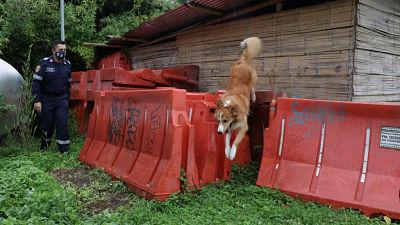 perros opt