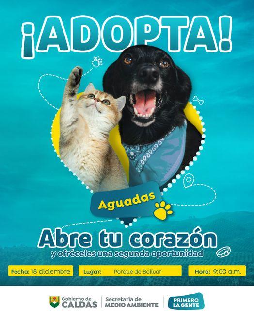 adopta Aguadas