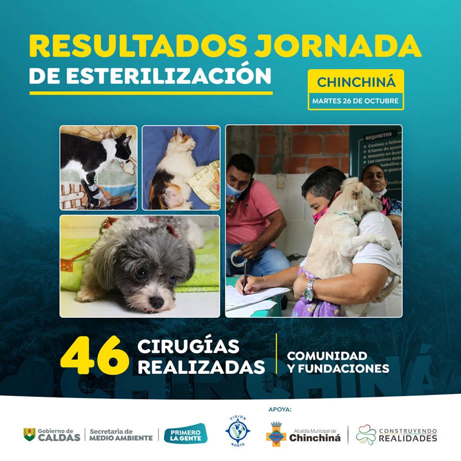 esterilizacion chinchina