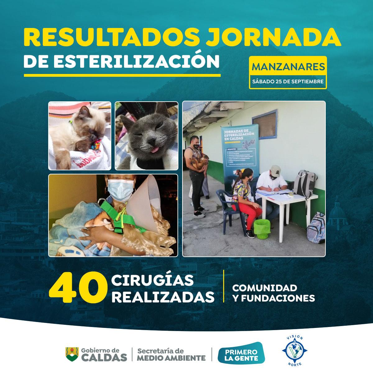 esterilizacion manzanares