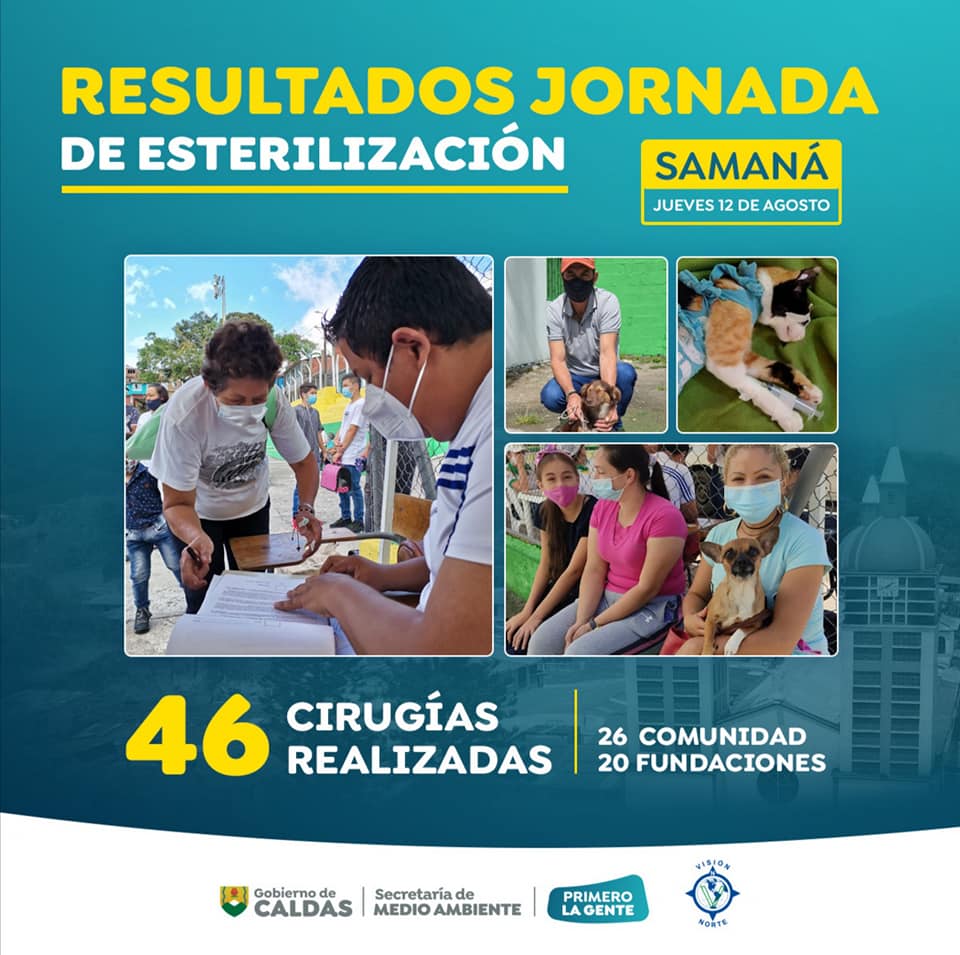 esterilizacion Samana