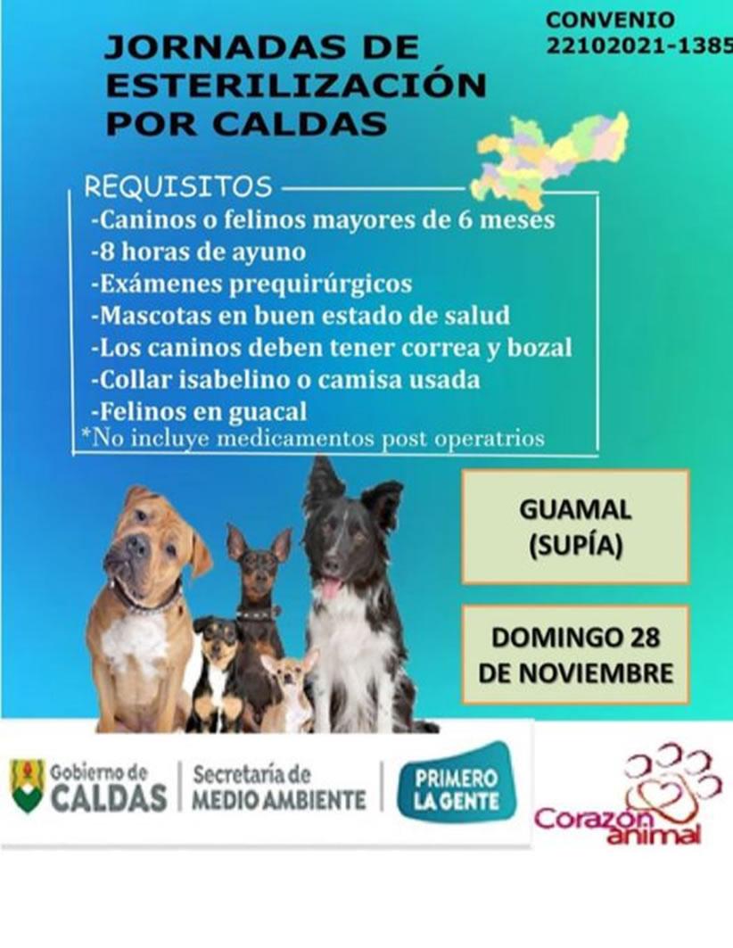 esterilizacion supia