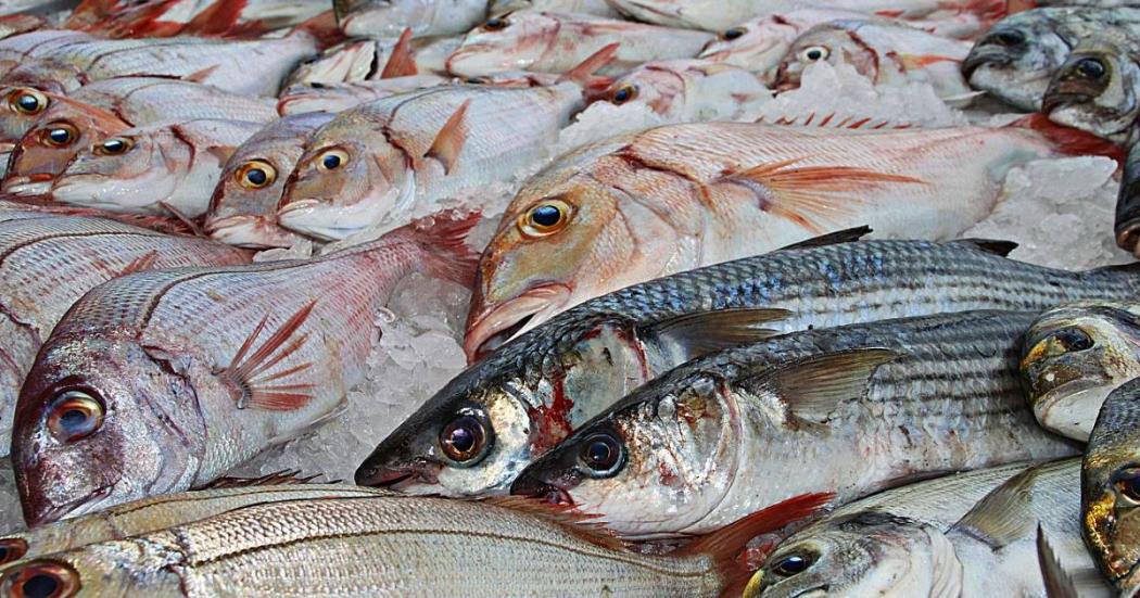 Evite riesgos: Territorial de Salud intensifica controles al pescado y bebidas alcoholicas