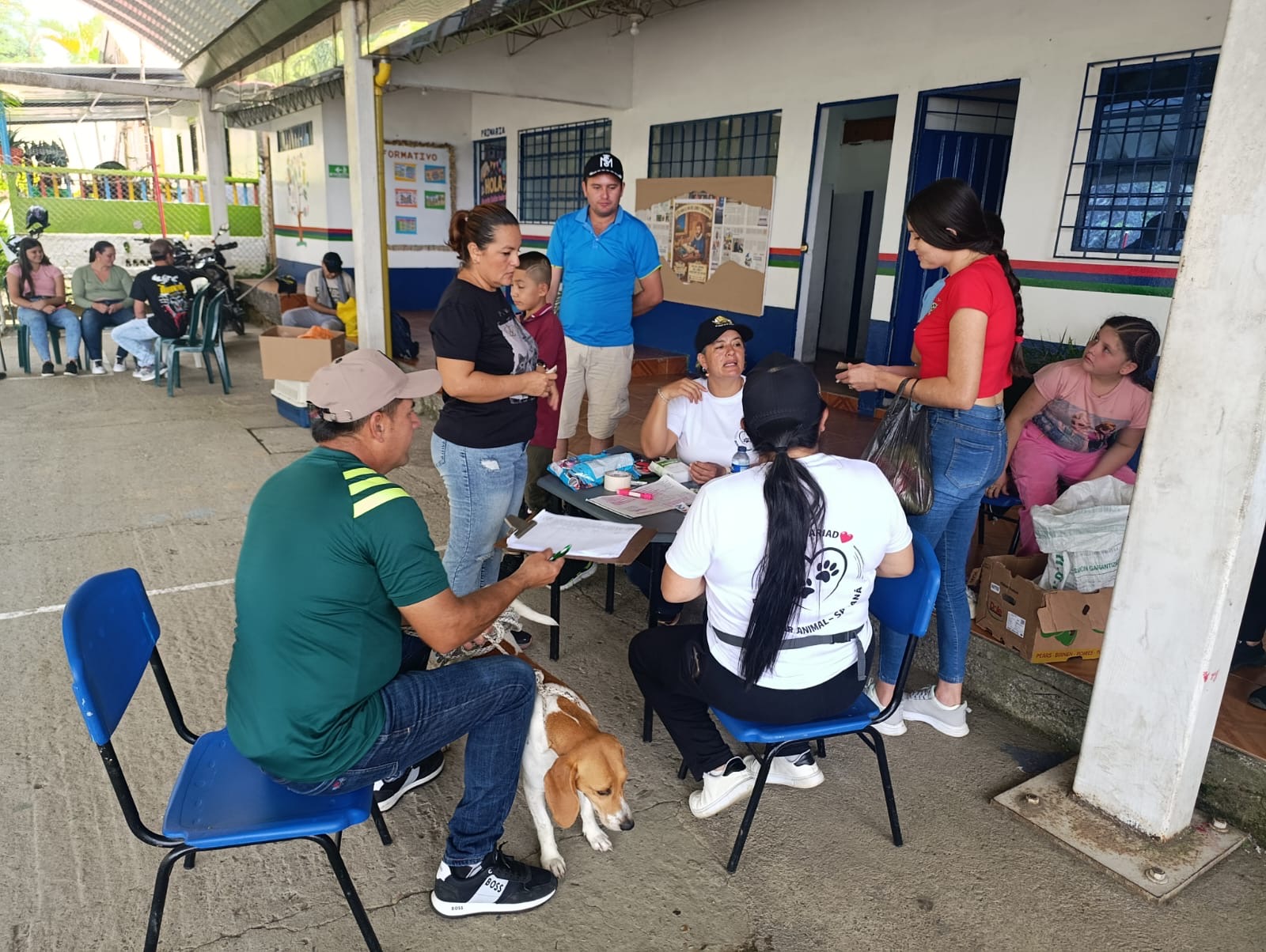 Gobierno de Caldas fortalece el bienestar animal con jornada de esterilizacion en zona rural de Samana
