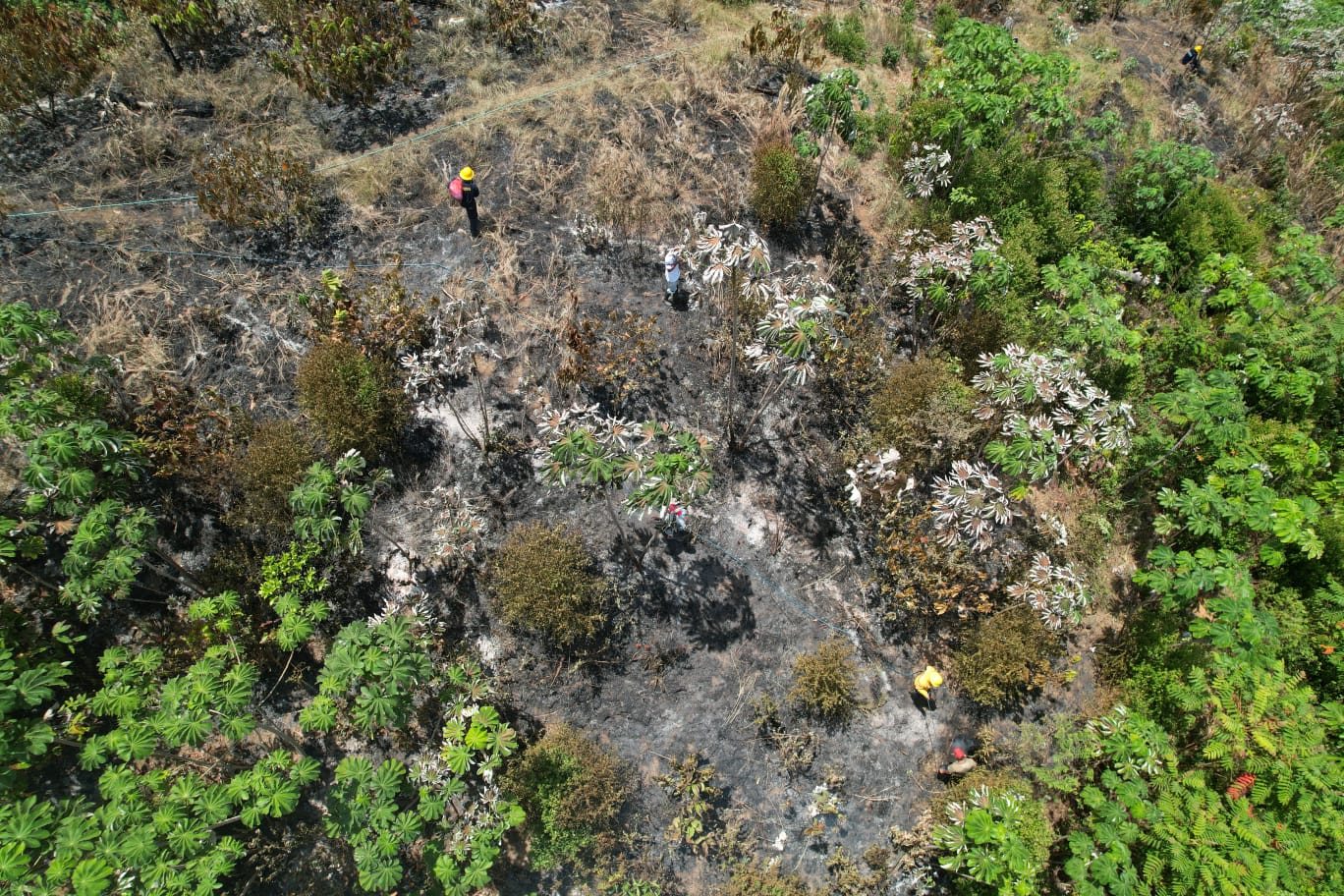 En medio de la atencion de la emergencia por el terremoto, Caldas reitera el llamado a no bajar la guardia ante incendios forestales: ya reporta 69