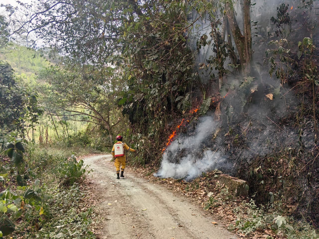 Segunda temporada de lluvias y fenomeno de El Nino: estas son las medidas de prevencion para los municipios de Caldas