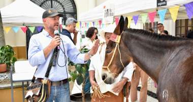 Mas de 30 empresarios mostraron el potencial turistico y empresarial del departamento en la feria Caldas es Natural