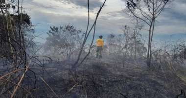 Jefatura de Gestion del Riesgo refuerza el llamado a prevenir incendios forestales en Caldas: van 81 en tres meses